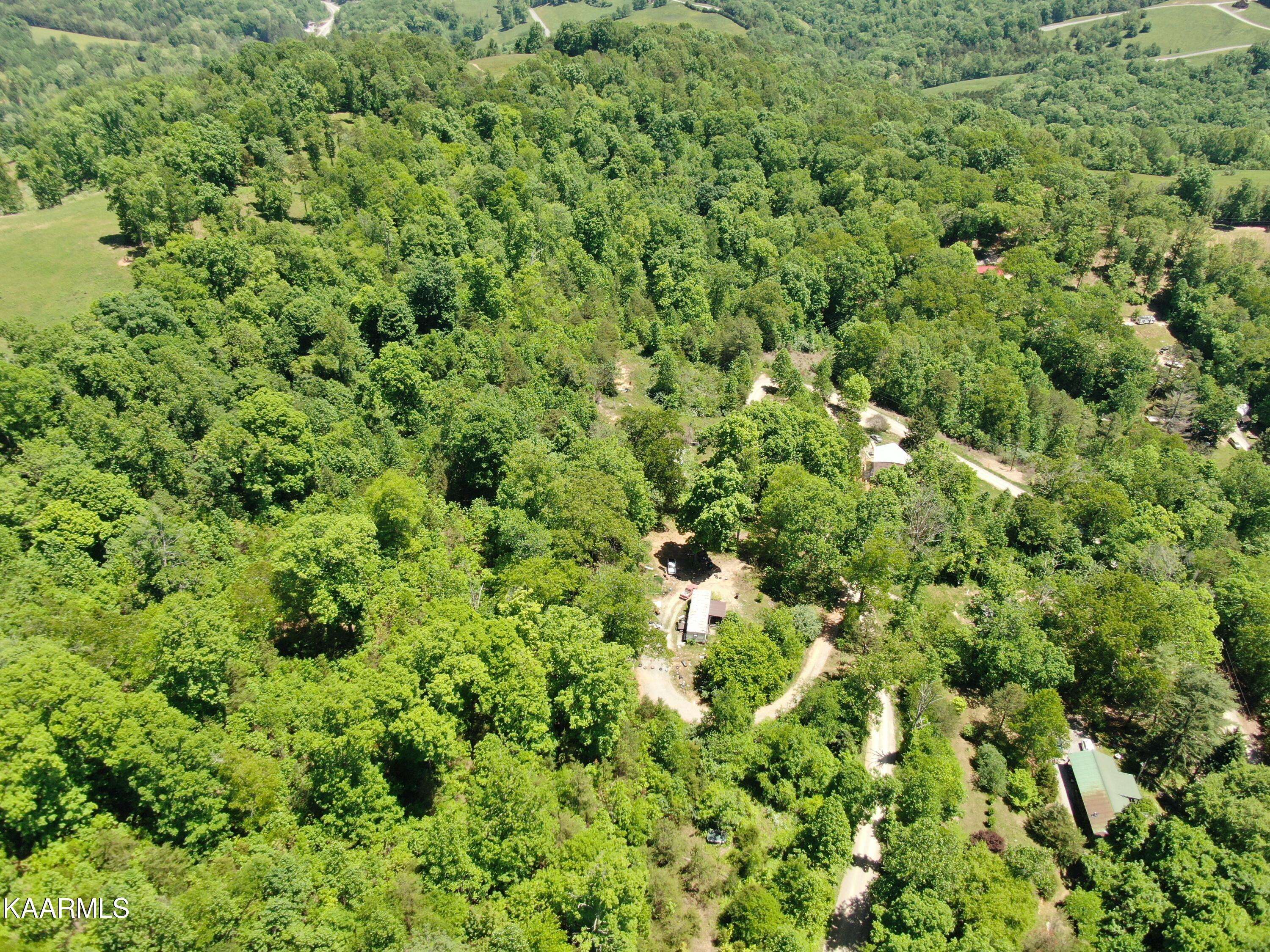 New Tazewell, TN 37825,20.8 Acres Molly Hollow Rd