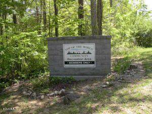 Tallassee, TN 37878,Lot 1 Flats Rd