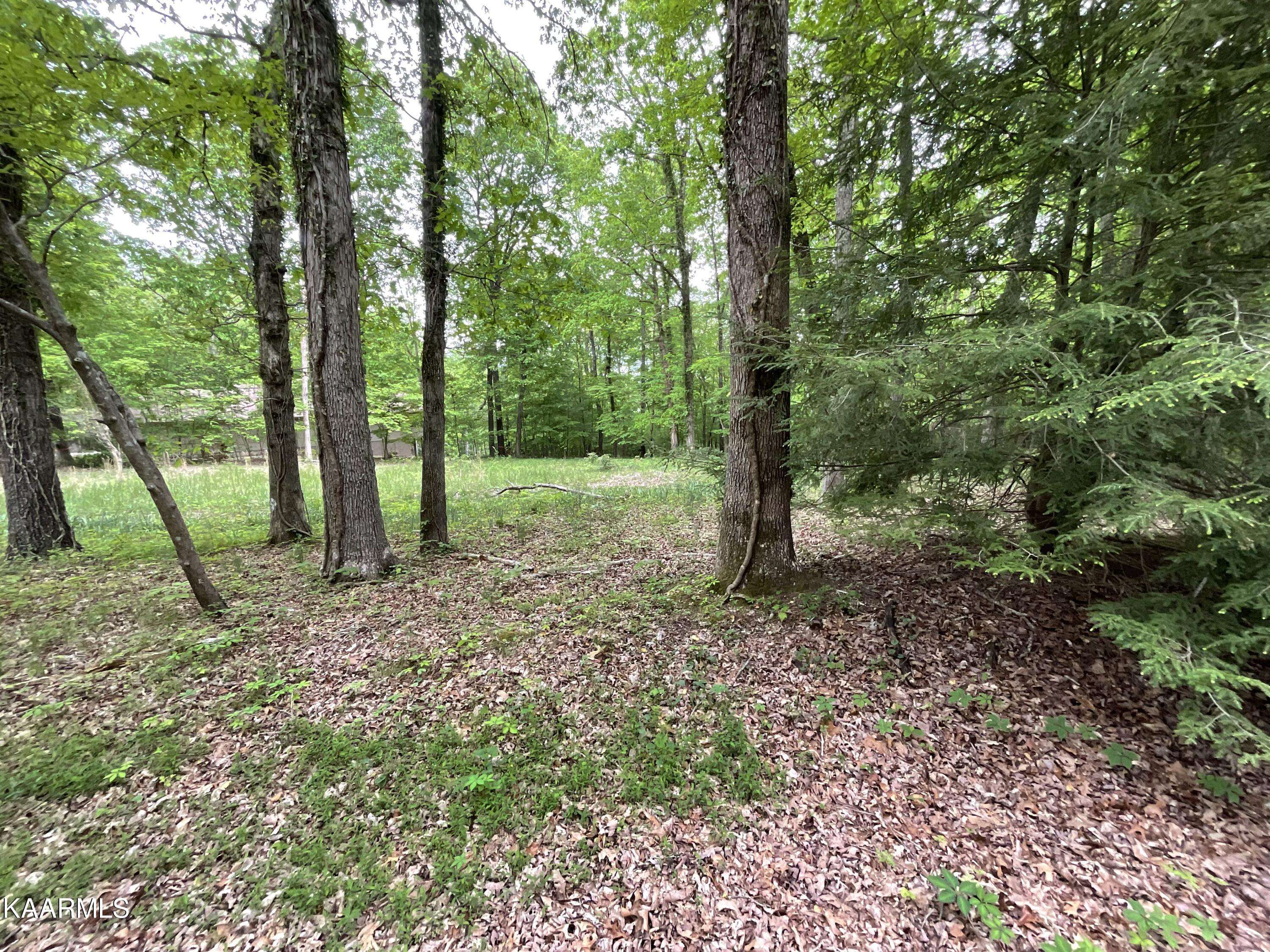 Fairfield Glade, TN 38558,18 Hunterwood CT