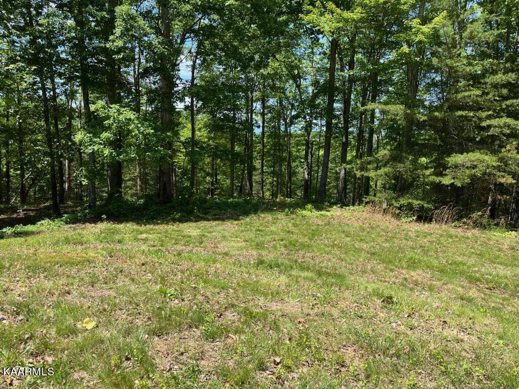 Lafollette, TN 37766,Lot 56 W. Poplar LN