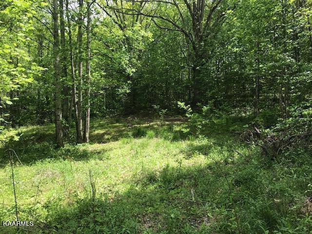 Tellico Plains, TN 37385,355 Smithfield Rd