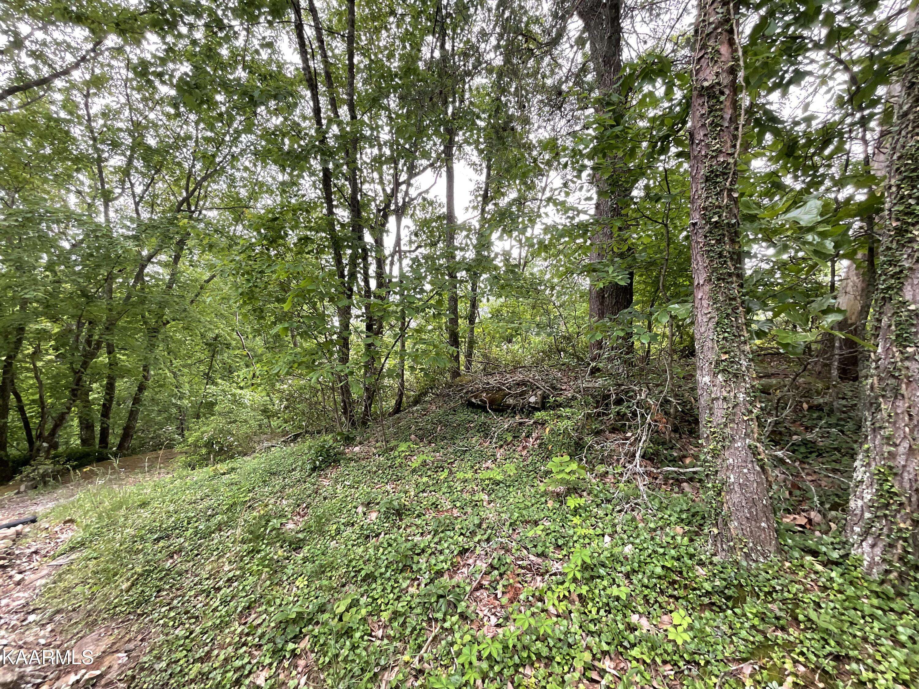 Fairfield Glade, TN 38558,354 Snead DR