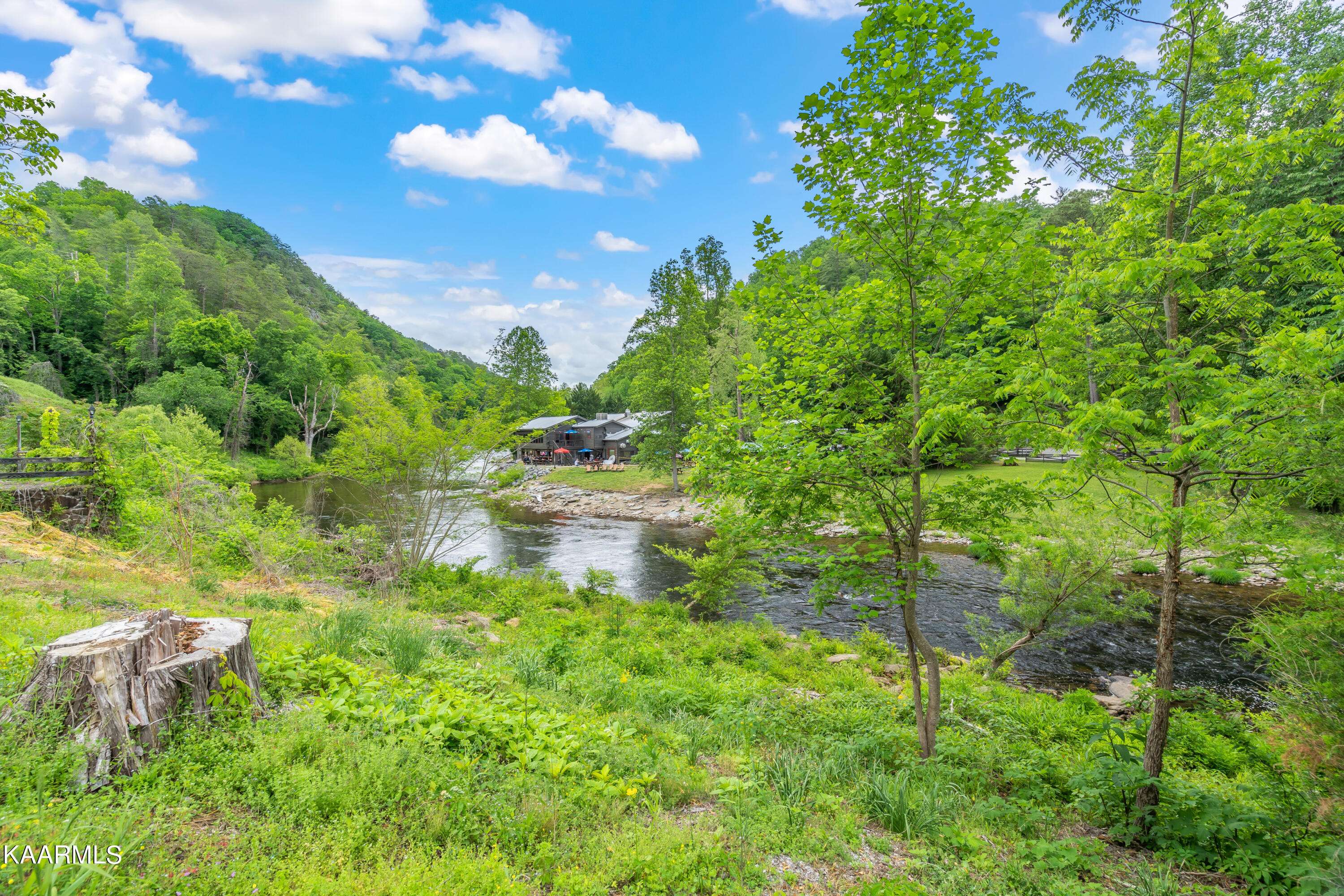 Tellico Plains, TN 37385,264 Rafter Rd