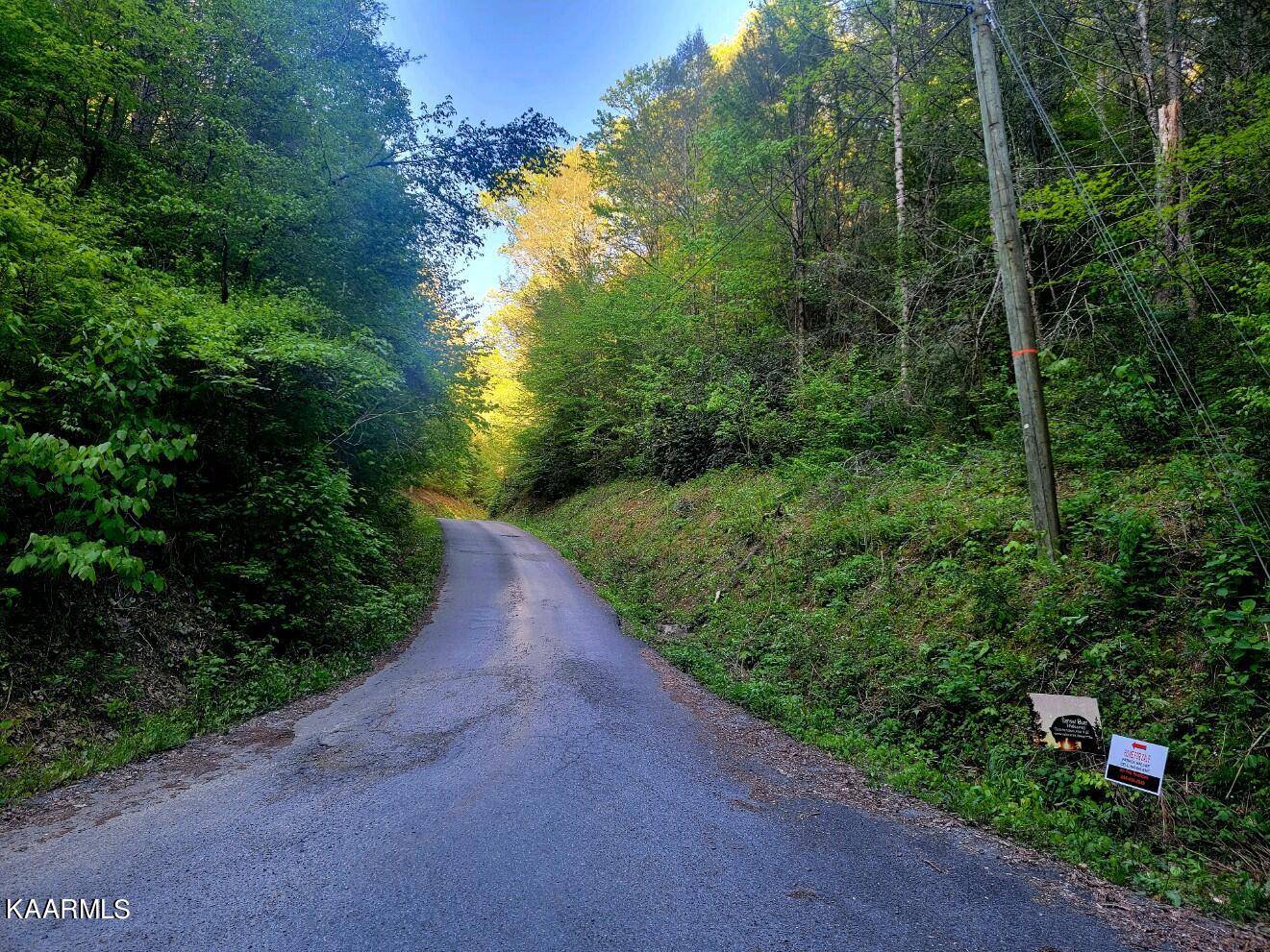 Sevierville, TN 37876,Joshua WAY