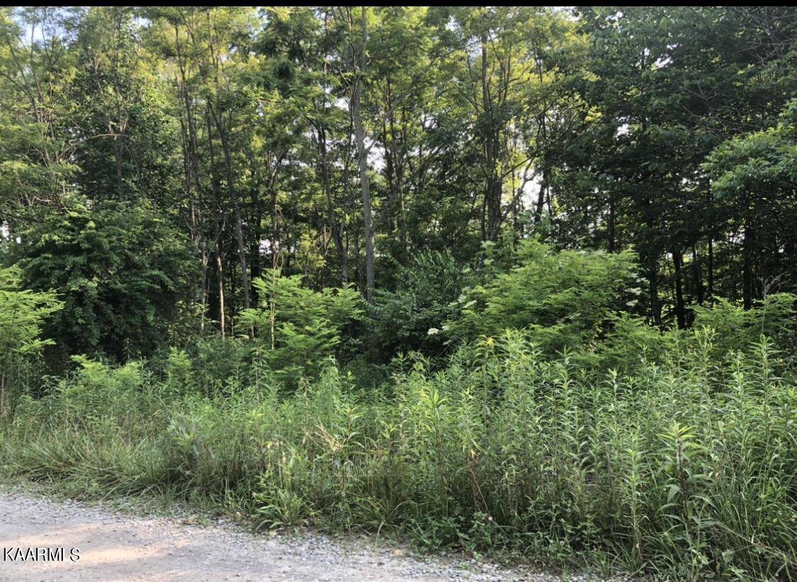 Crawford, TN 38554,5.05 ac White Oak Lane LN