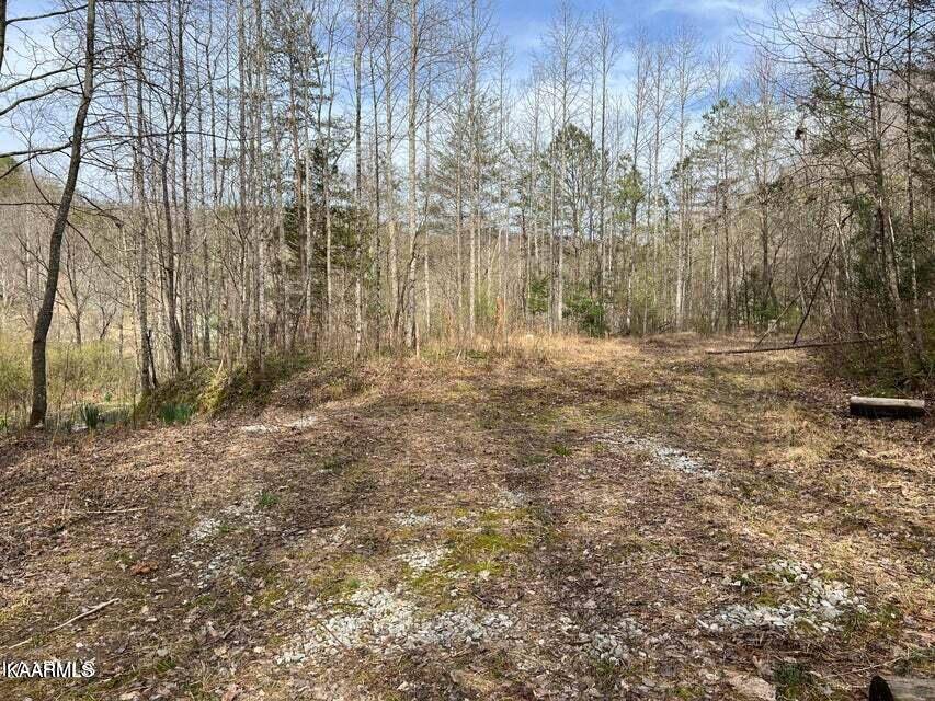 Clairfield, TN 37715,Roses Creek Lot B