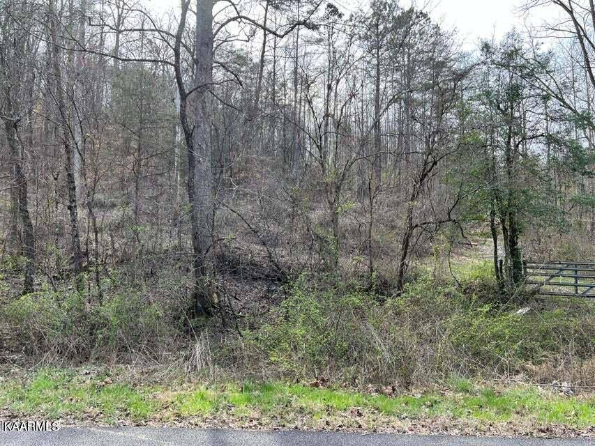 Clairfield, TN 37715,Roses Creek Lot B