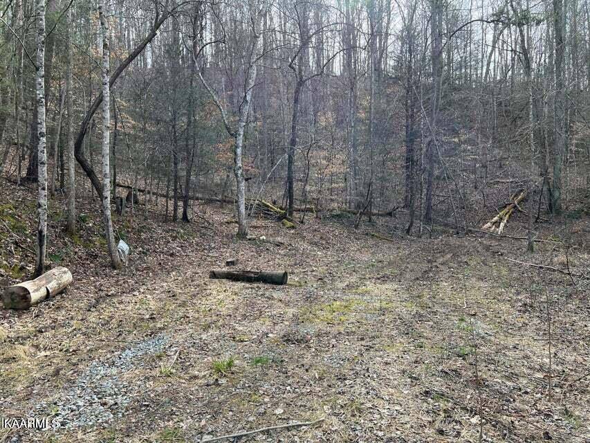 Clairfield, TN 37715,Roses Creek Lot B