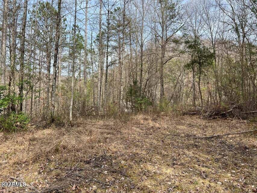 Clairfield, TN 37715,Roses Creek Lot B