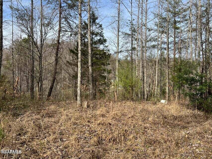 Clairfield, TN 37715,Roses Creek Lot B