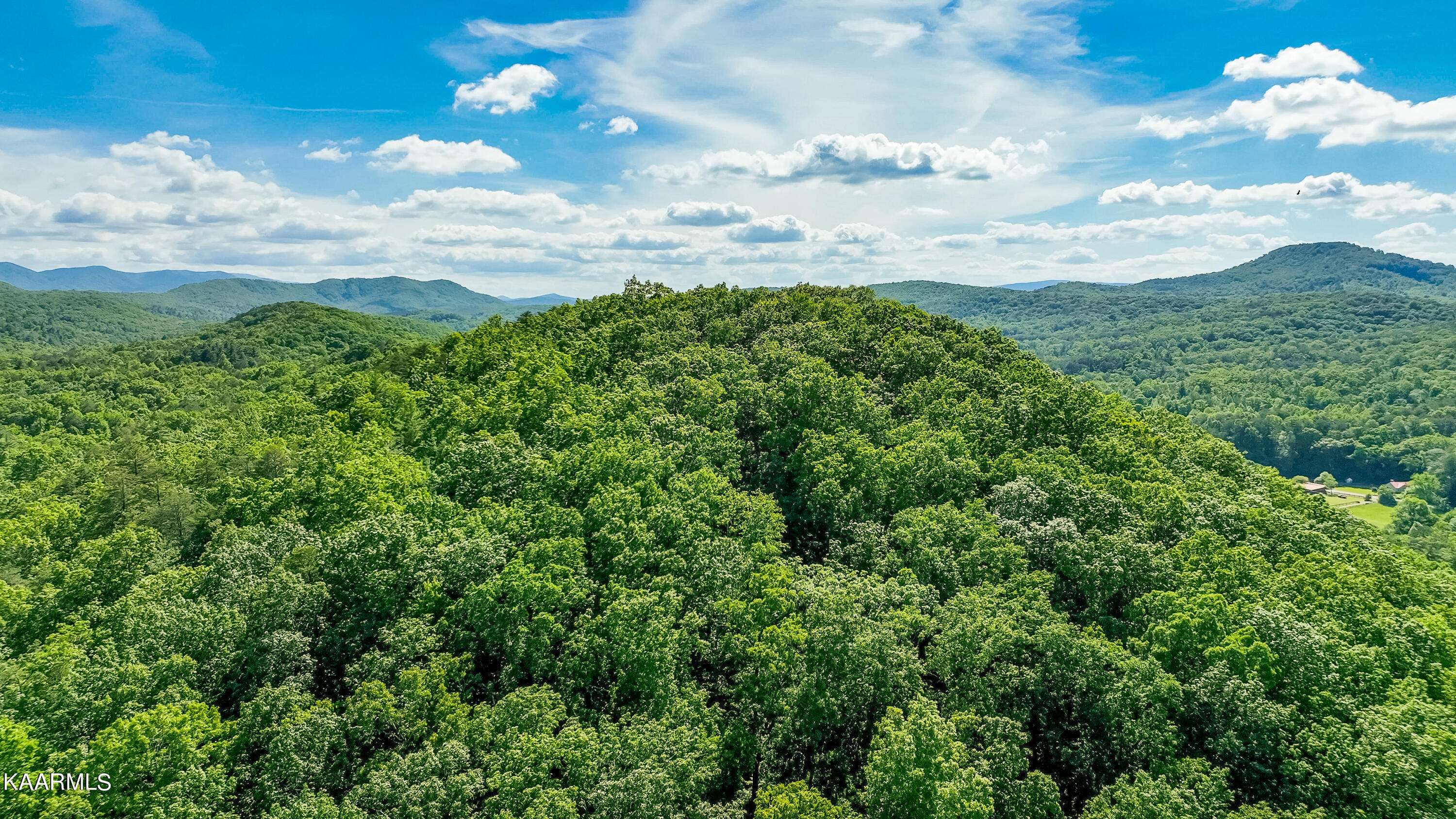 Tellico Plains, TN 37385,000 Cooper Hollow Rd