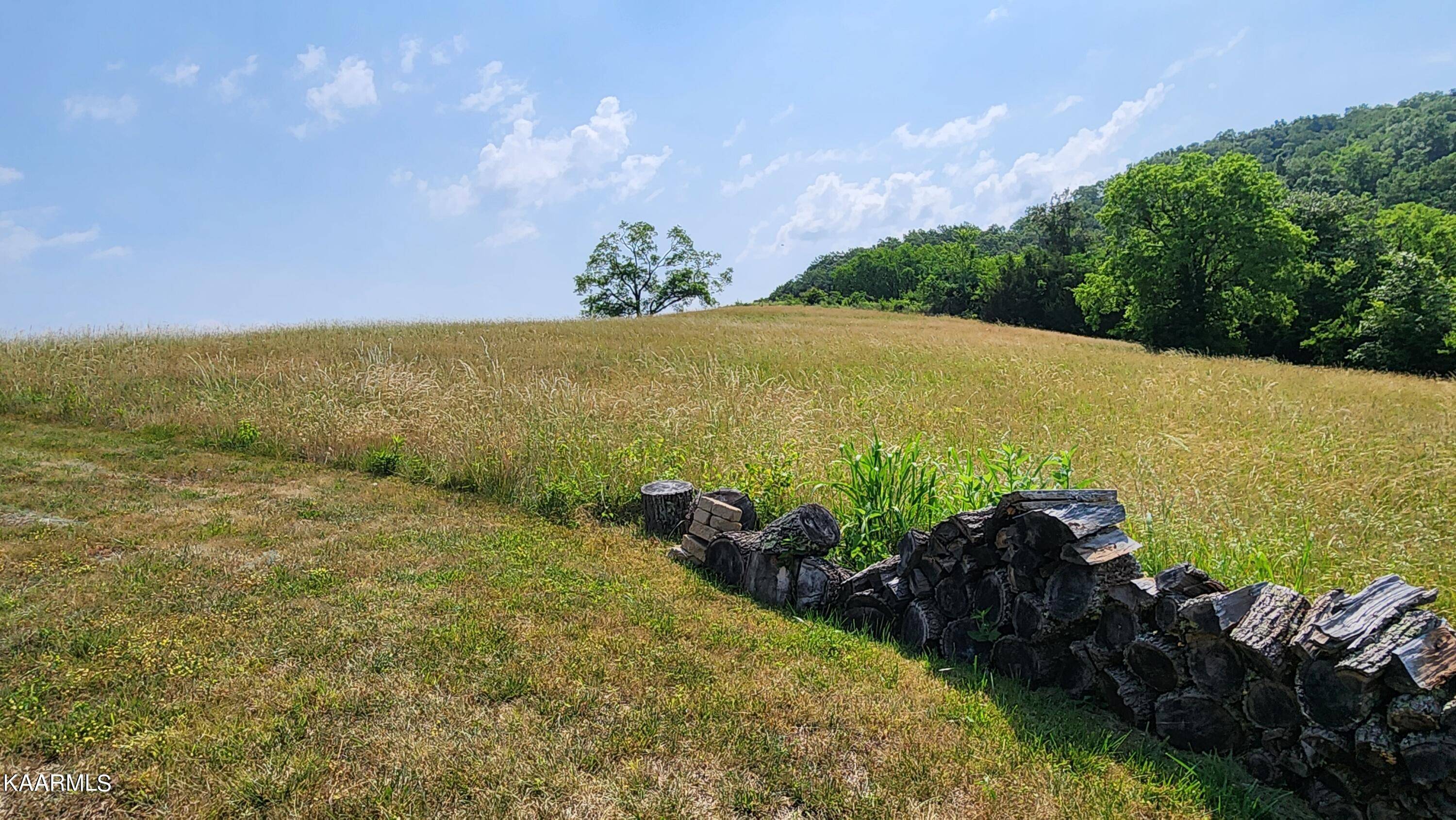 Sharps Chapel, TN 37866,Lot 676 Russell Brothers Rd