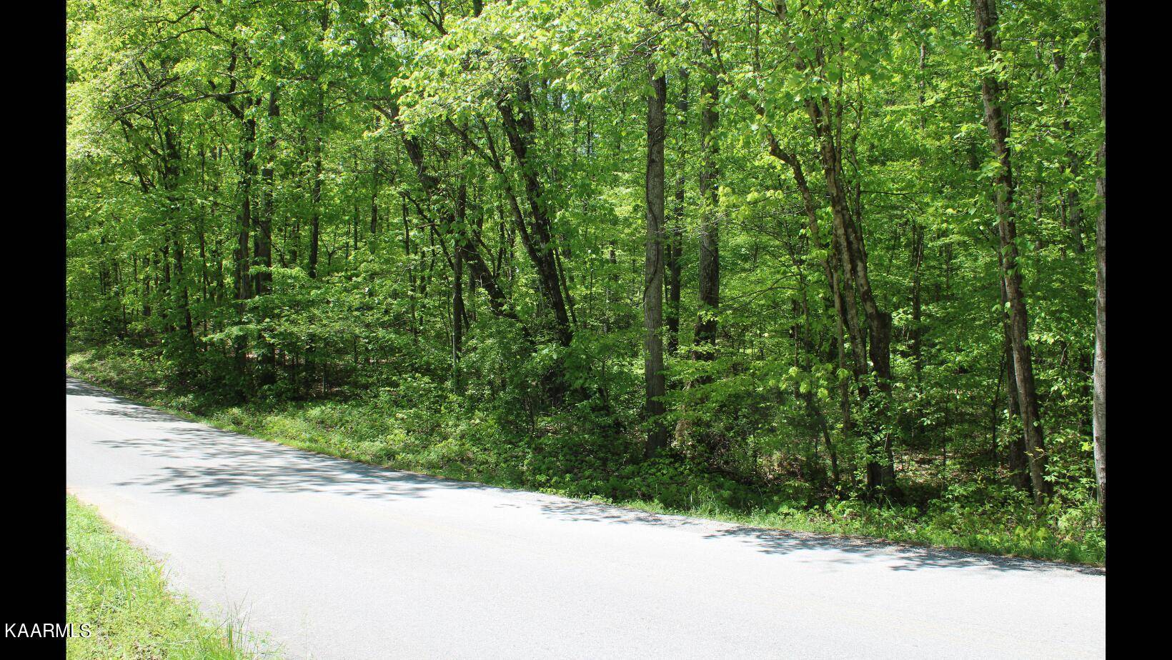 Rockwood, TN 37854,Lot29/30 Eagle Furnace Rd