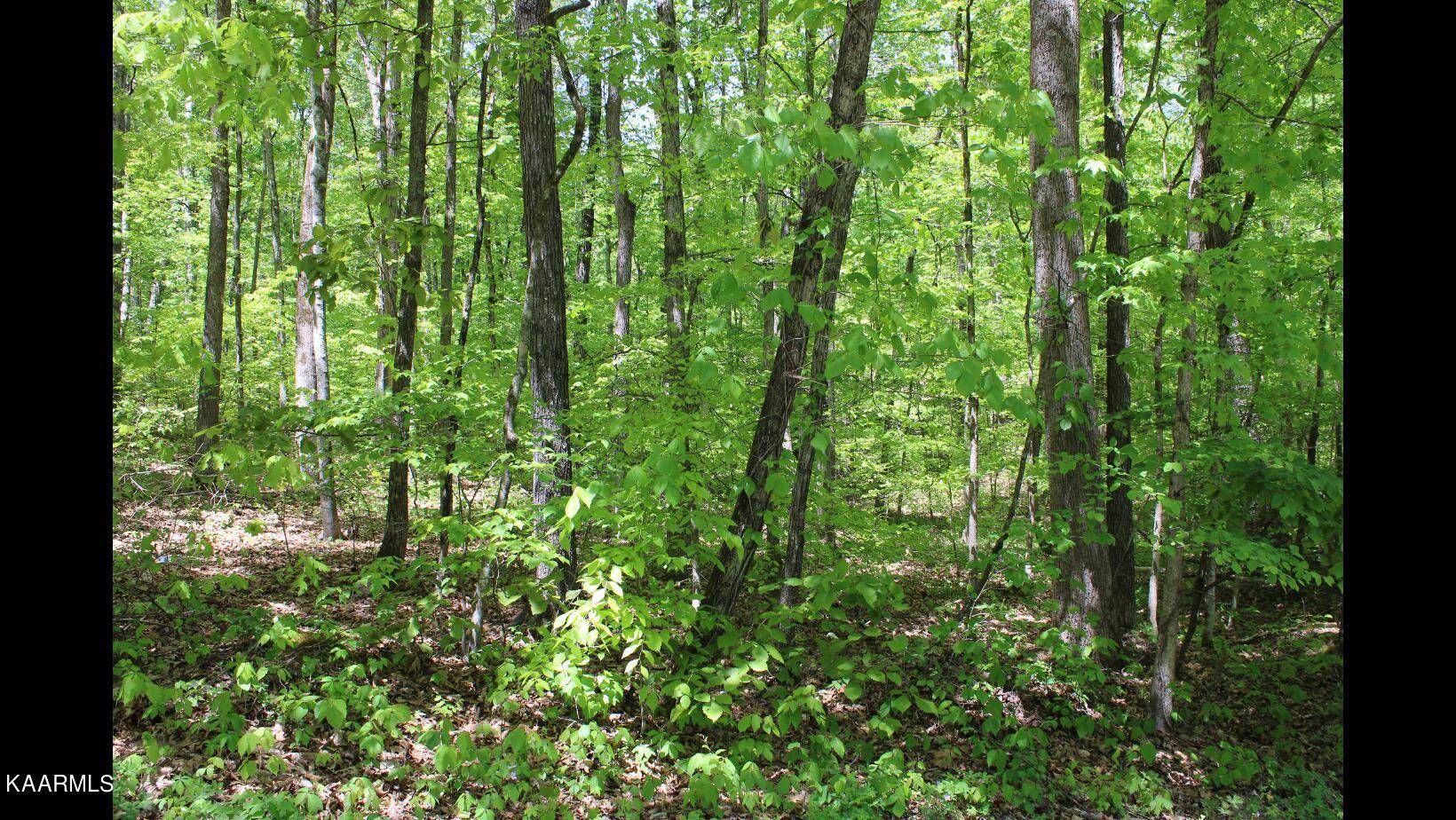 Rockwood, TN 37854,Lot29/30 Eagle Furnace Rd