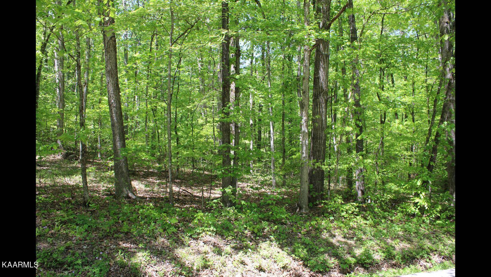 Rockwood, TN 37854,Lot29/30 Eagle Furnace Rd