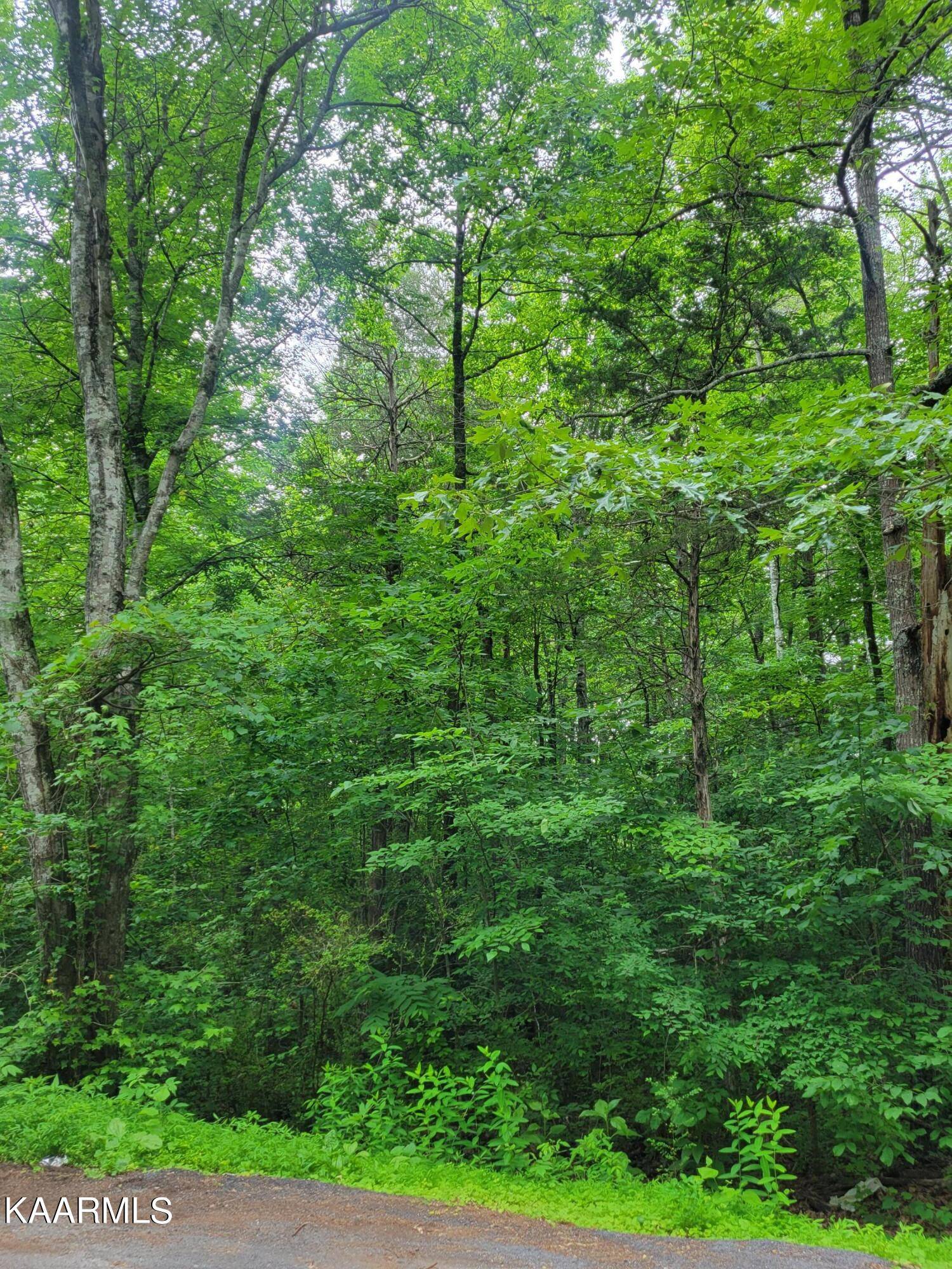 Lenoir City, TN 37772,Ford Road