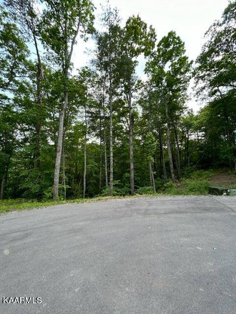 Townsend, TN 37882,328 Beckett Ridge Rd