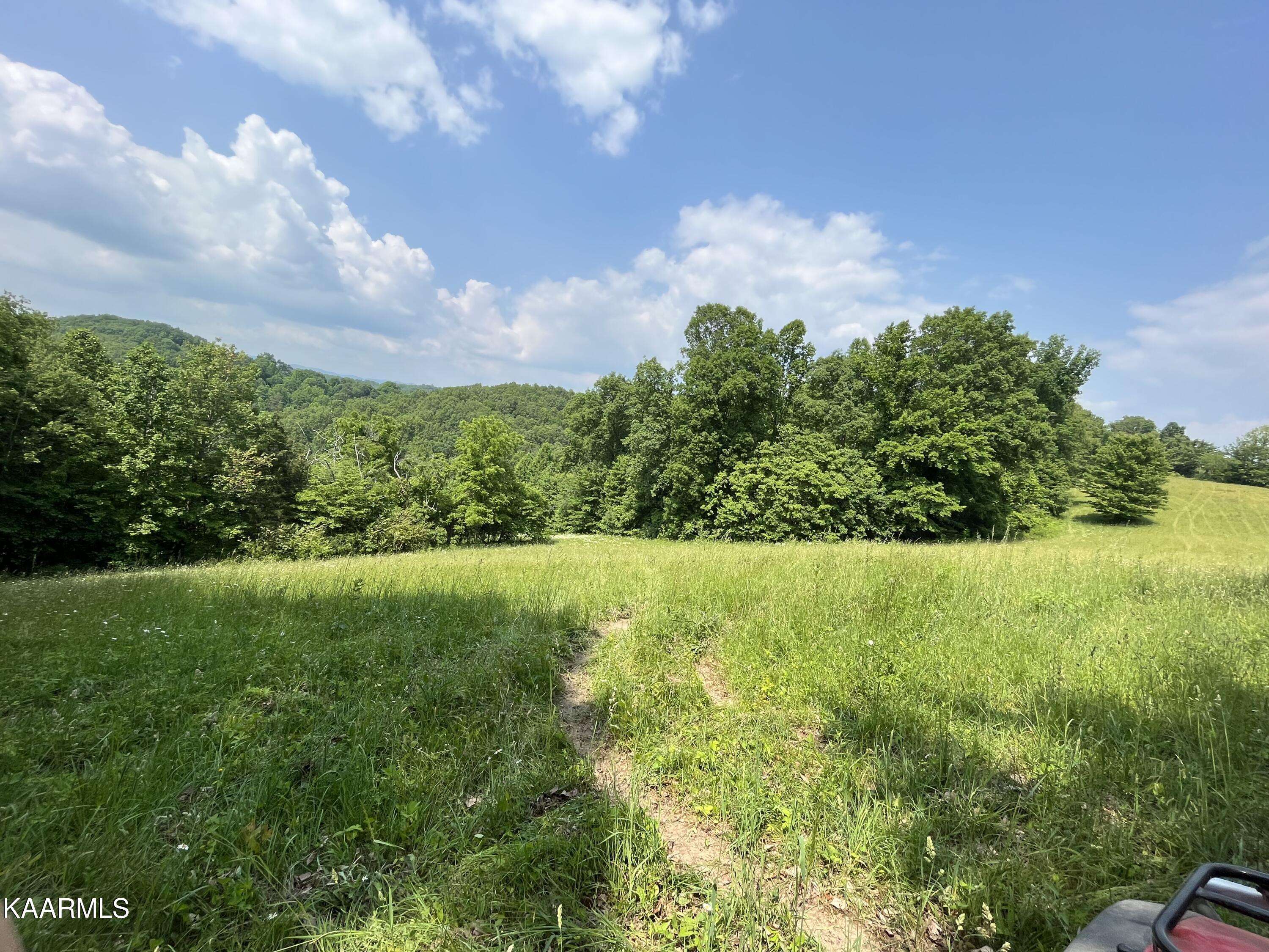 Speedwell, TN 37870,TBD Jones Ridge Rd