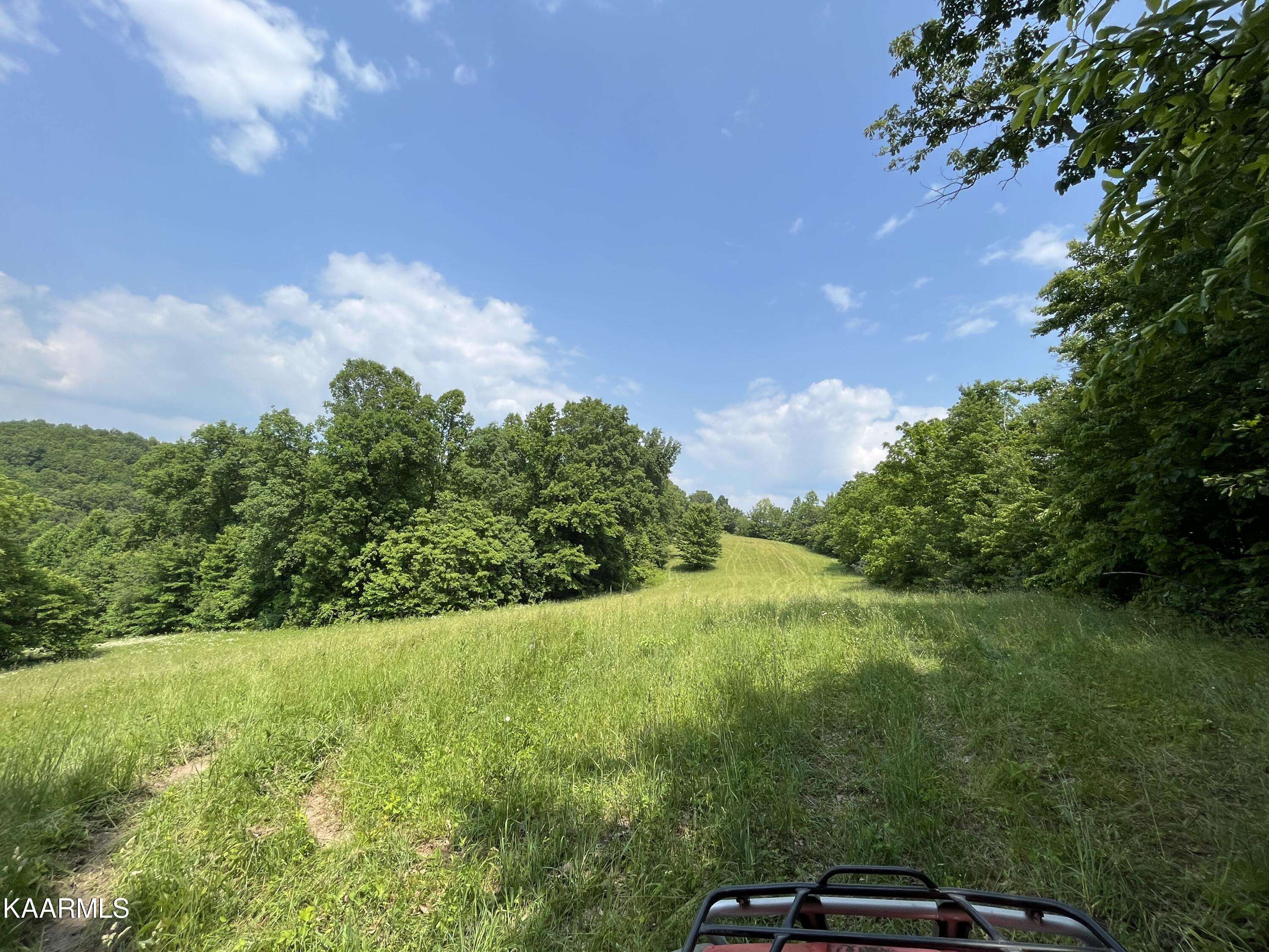 Speedwell, TN 37870,TBD Jones Ridge Rd