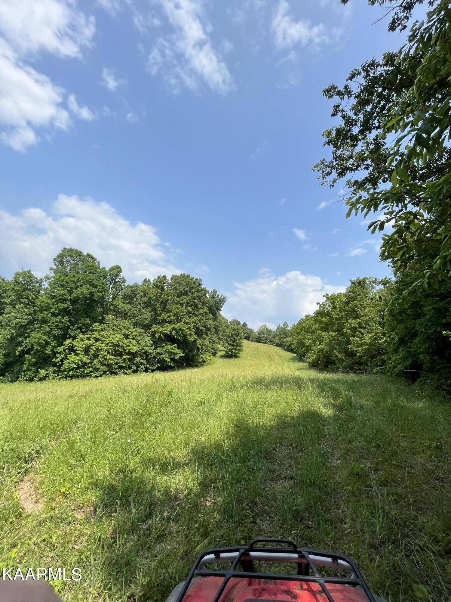 Speedwell, TN 37870,TBD Jones Ridge Rd