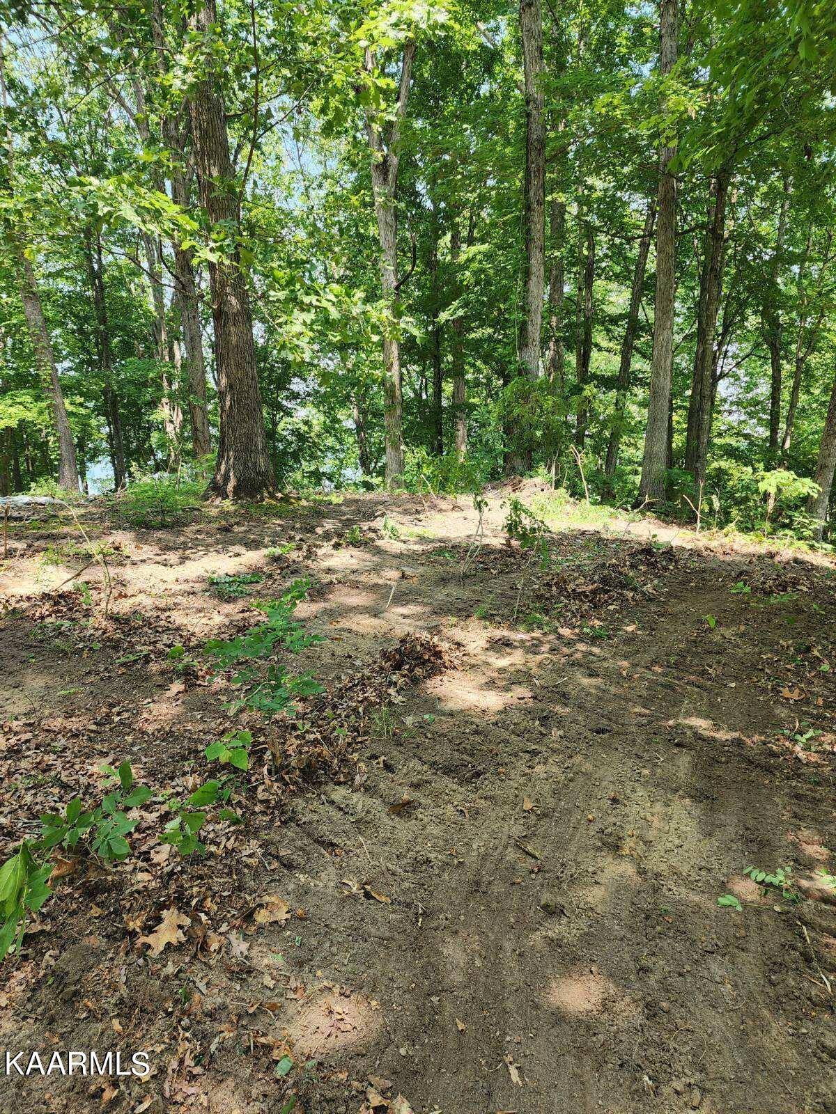 Dandridge, TN 37725,Lot 9 Painted Sky DR