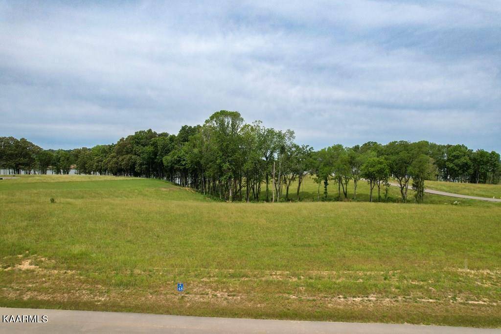 White Pine, TN 37890,Lot 48 Sunset Blvd