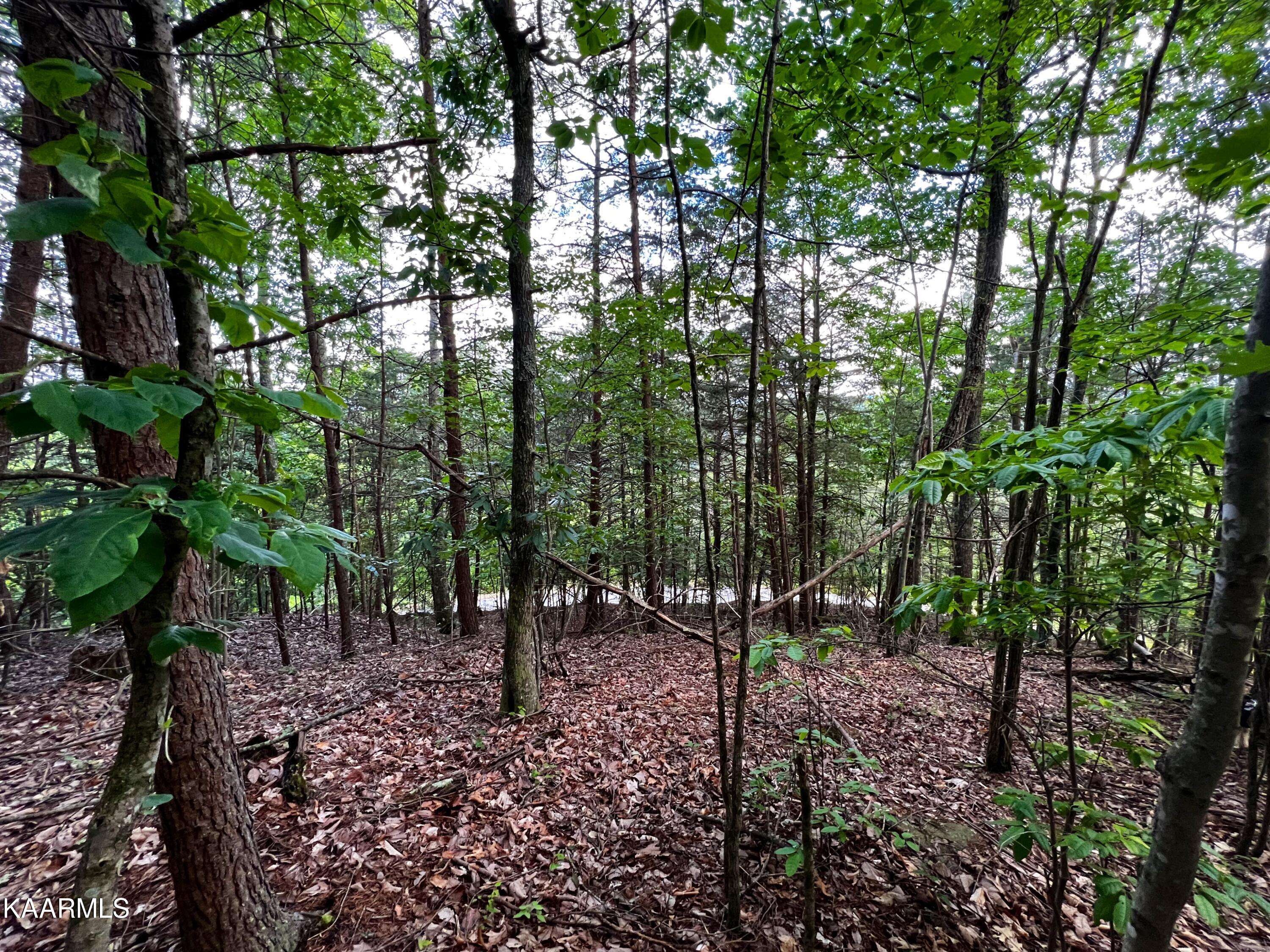 New Tazewell, TN 37825,Lot 236 Whistle Valley Road