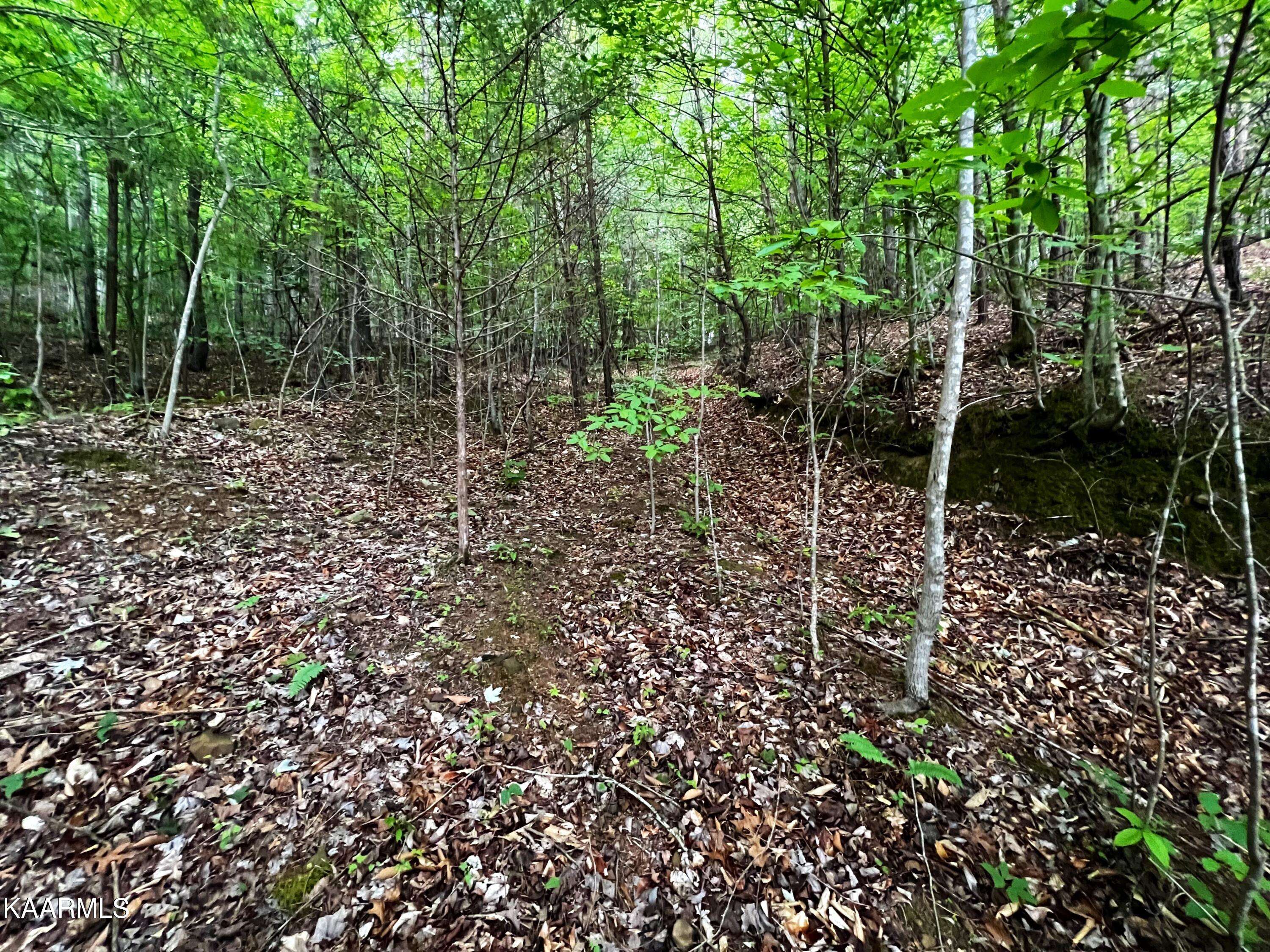 New Tazewell, TN 37825,Lot 236 Whistle Valley Road