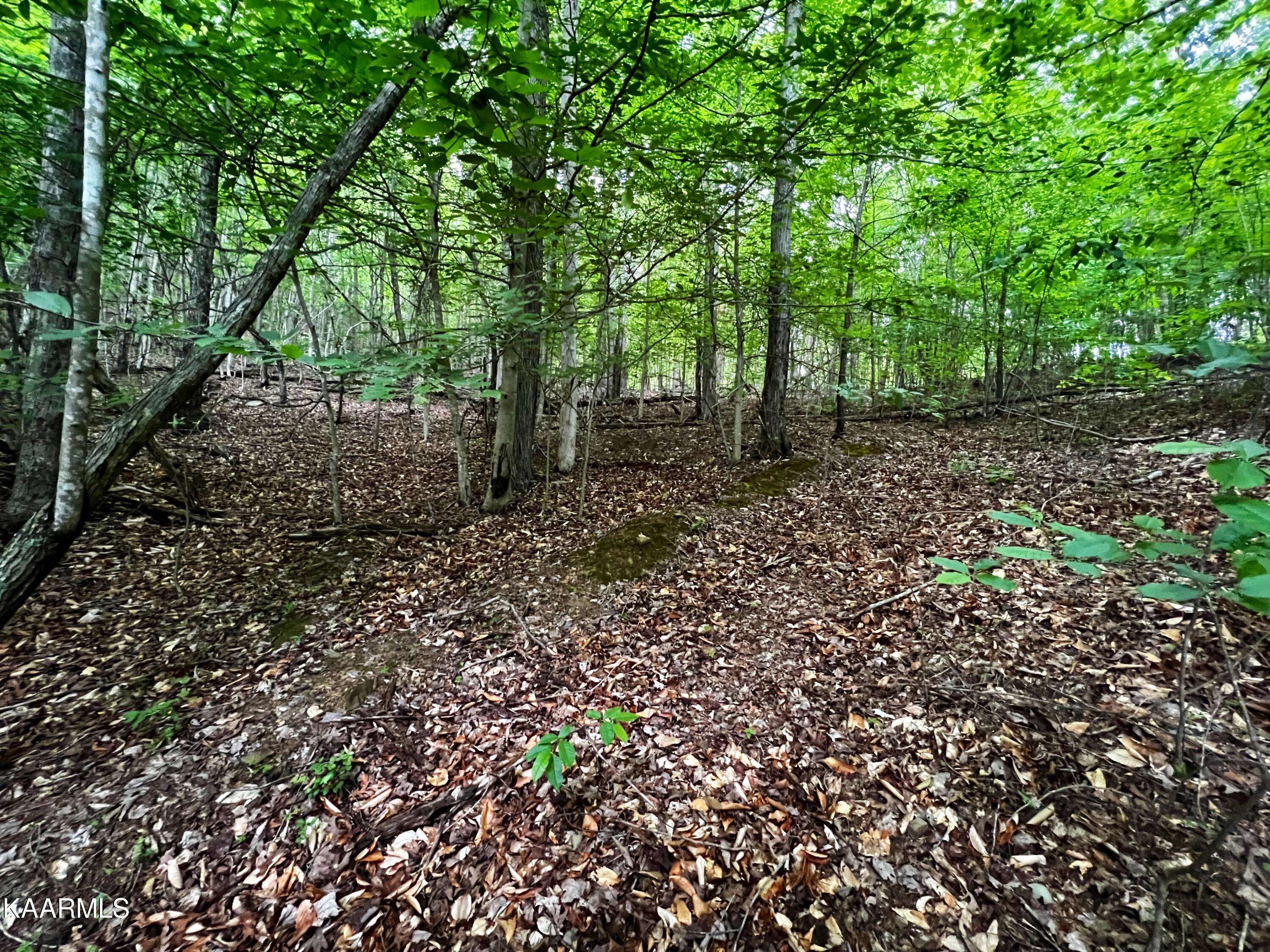 New Tazewell, TN 37825,Lot 236 Whistle Valley Road