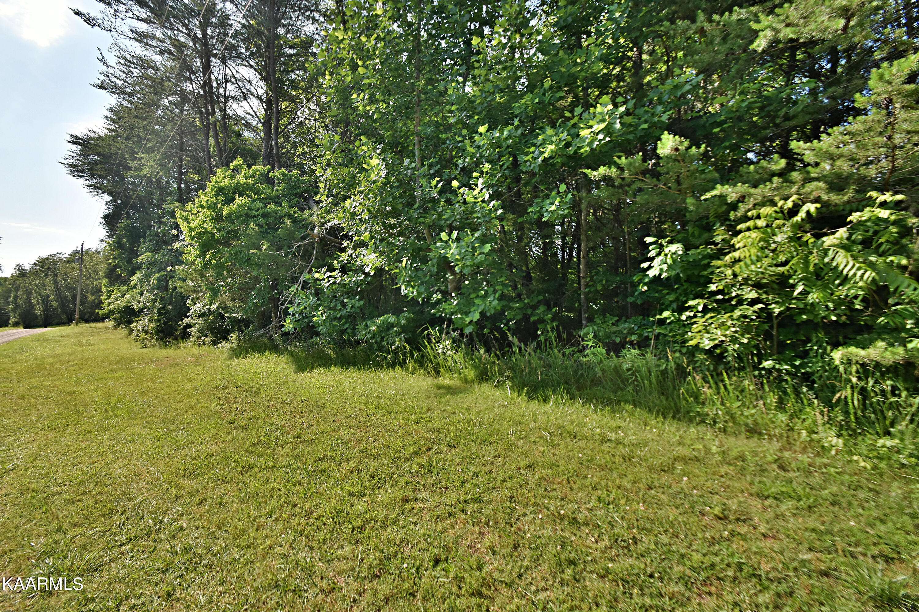 Strawberry Plains, TN 37871,0 Peaceful WAY