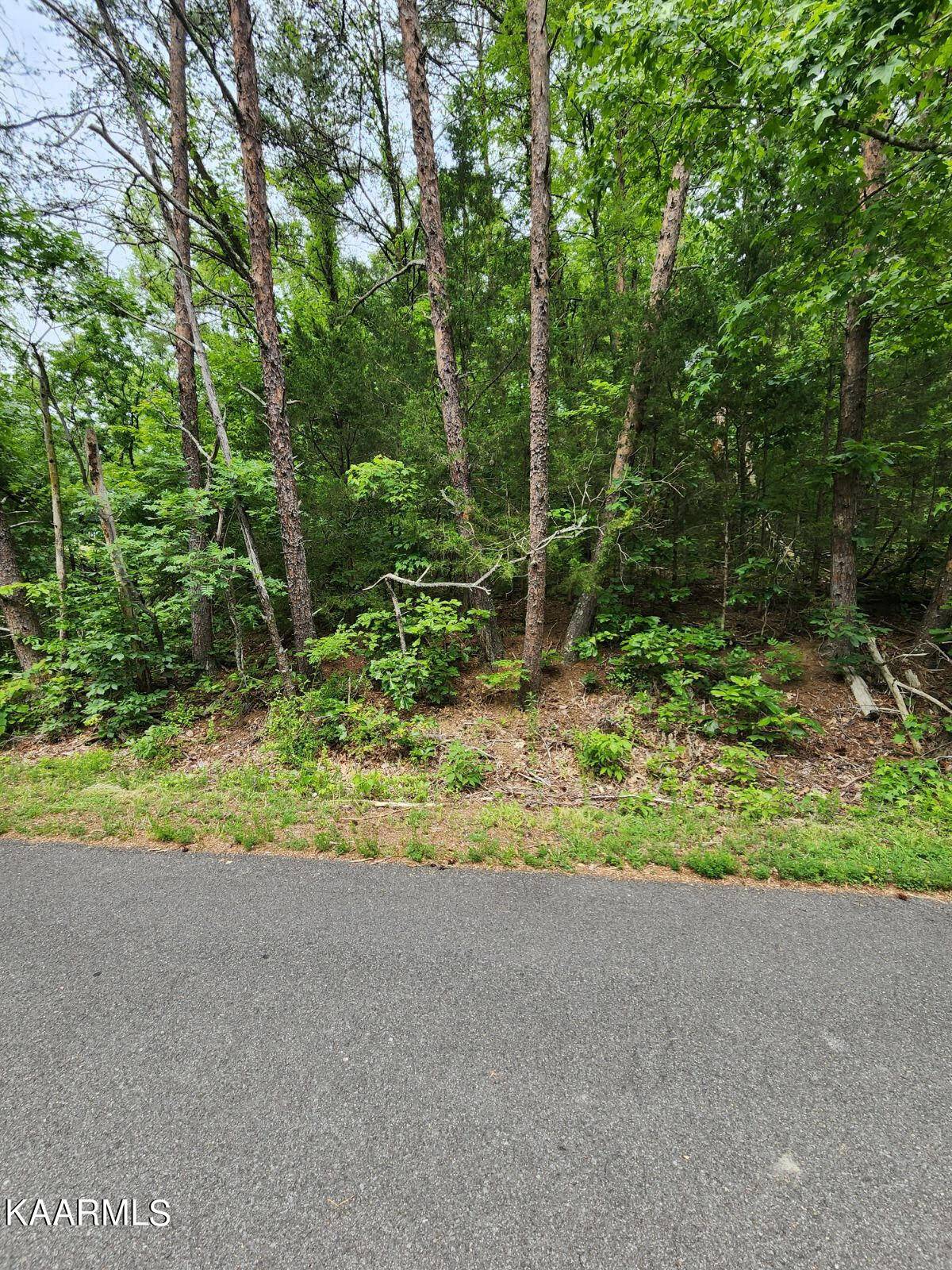 Baneberry, TN 37890,1191 Tree Line Lane LN