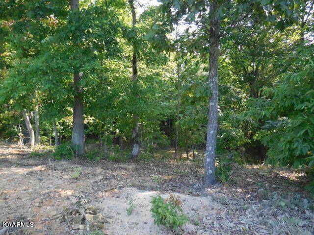 Rockwood, TN 37854,Thief Neck View DR