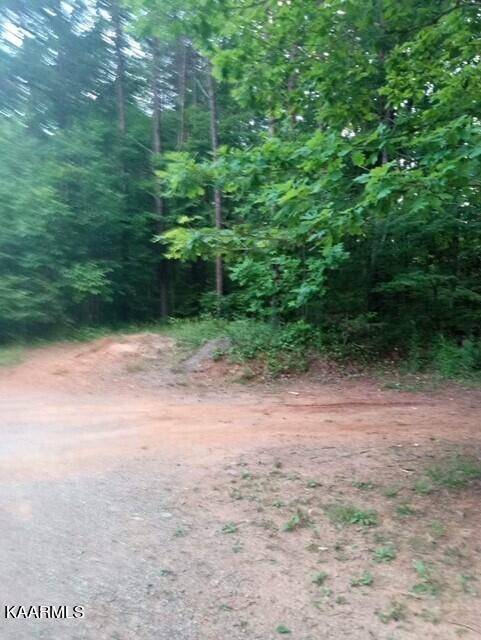 Madisonville, TN 37354,2880 Ballplay Road