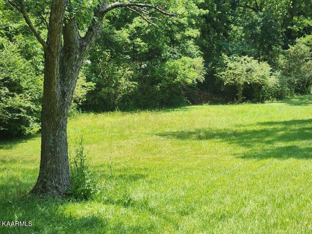 Knoxville, TN 37918,3218 Greenway DR