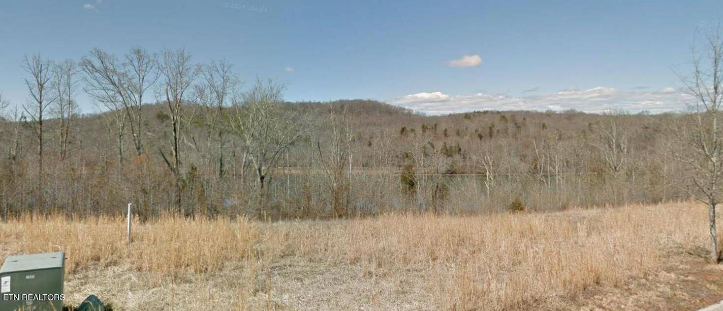 Oak Ridge, TN 37830,164 Pineberry East Rd #Lot 160