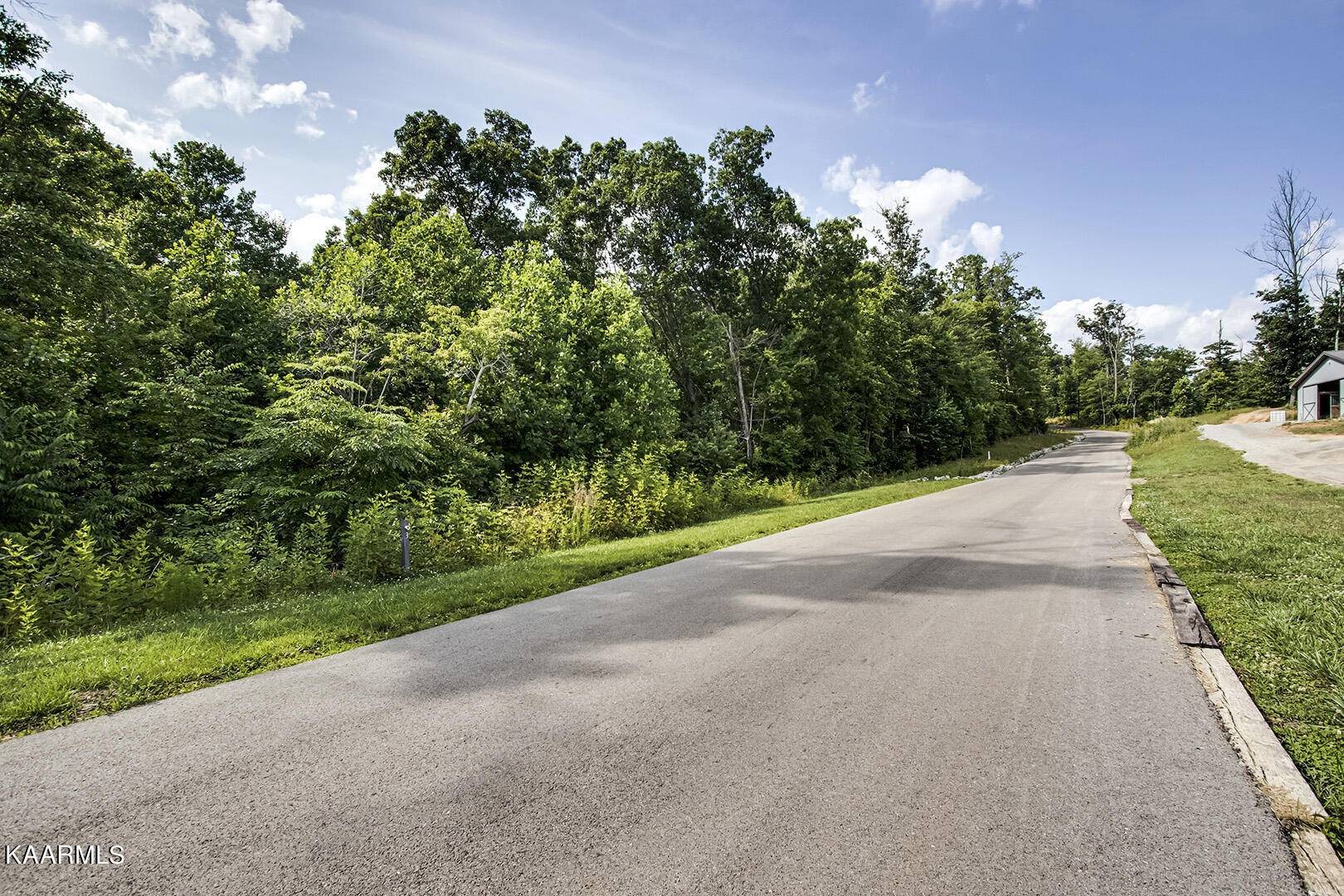 Lenoir City, TN 37771,Lot 3 Estates at Trinity Hill