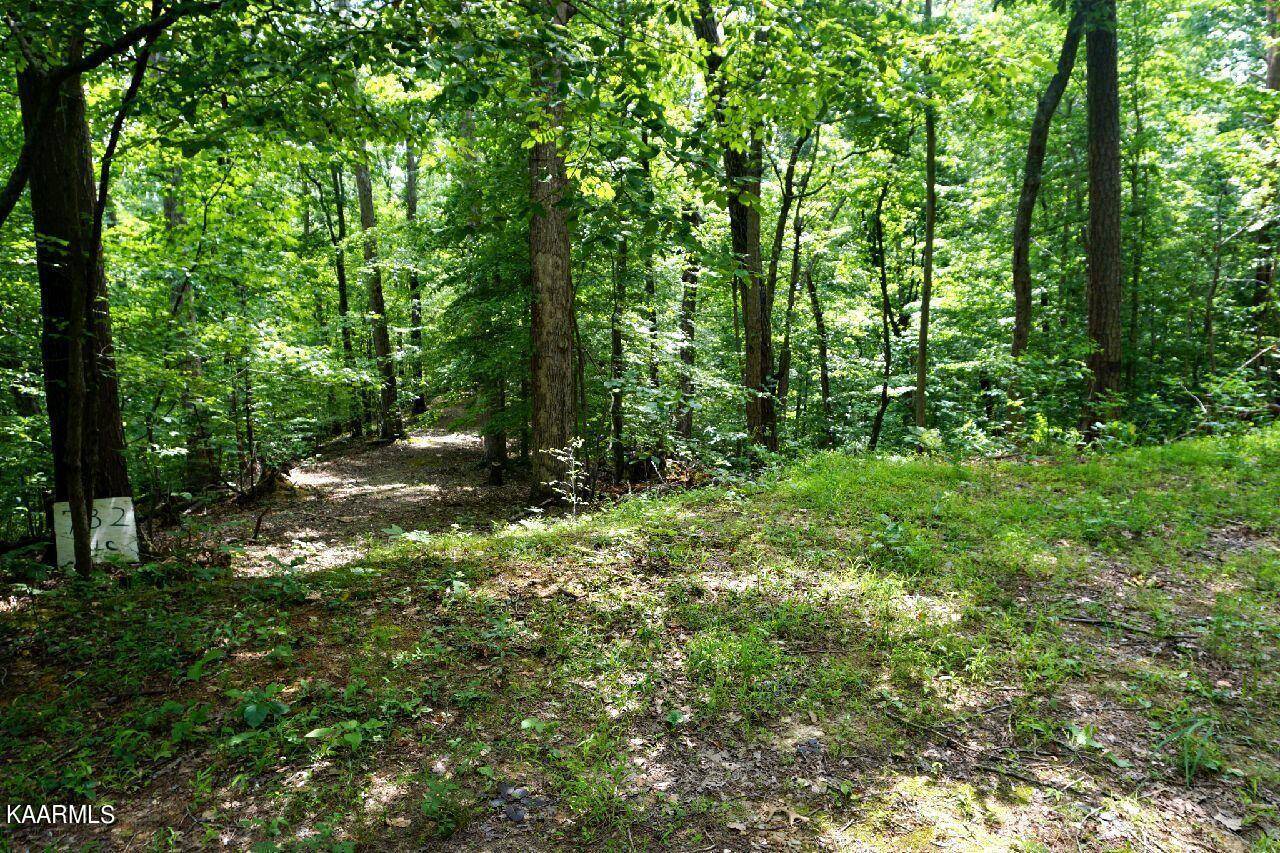 Baneberry, TN 37890,Lot 732 Mossy Hollow Rd