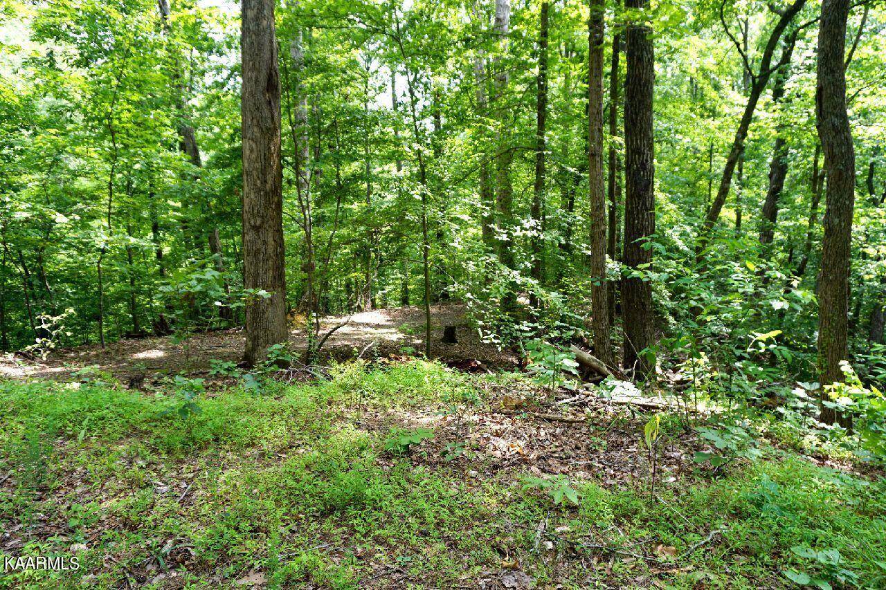 Baneberry, TN 37890,Lot 732 Mossy Hollow Rd