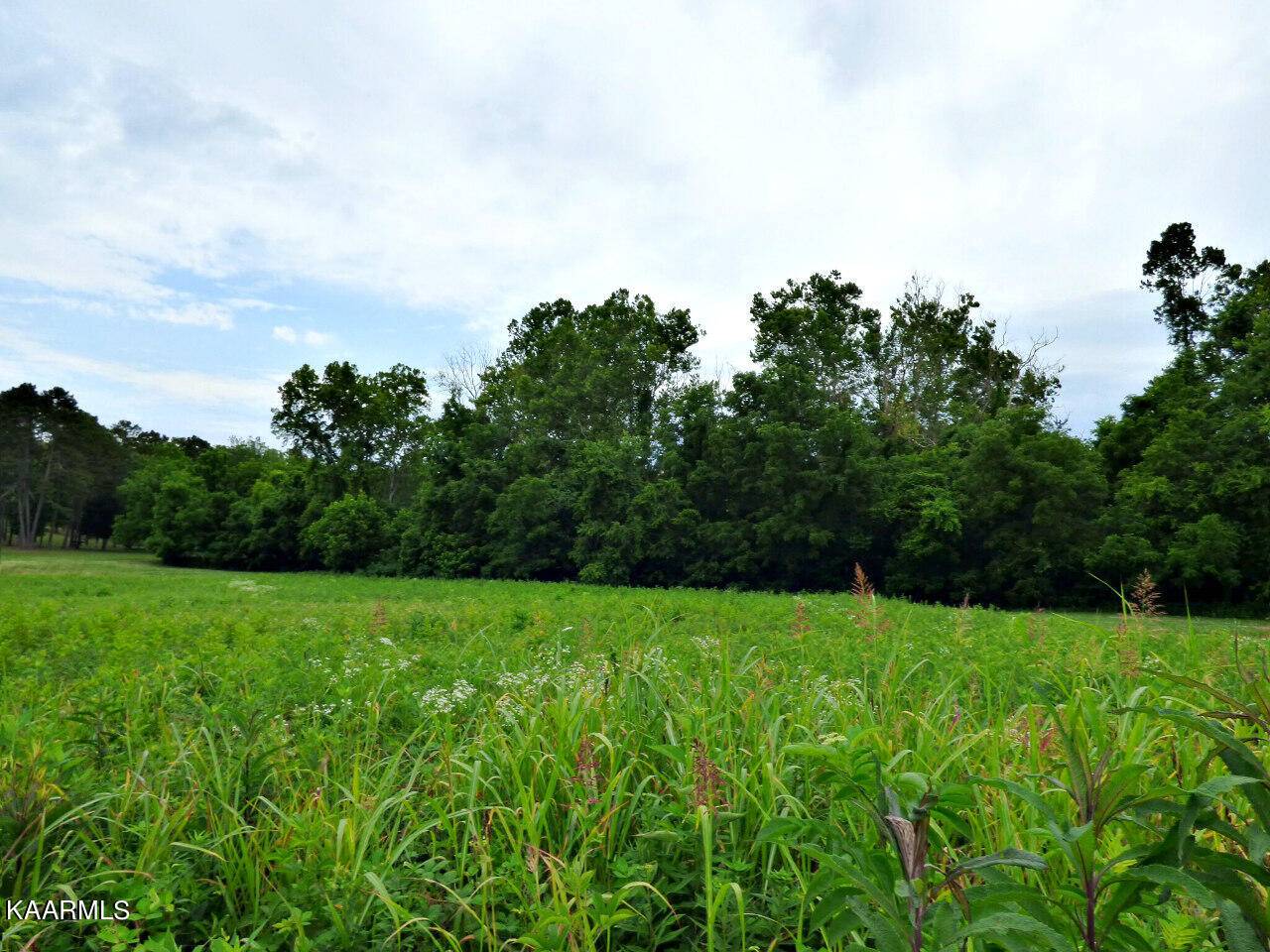 Dandridge, TN 37725,Lot 35 Smokey Meadows DR