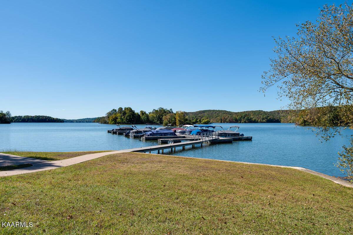 Rockwood, TN 37854,Shore lot 466 DR