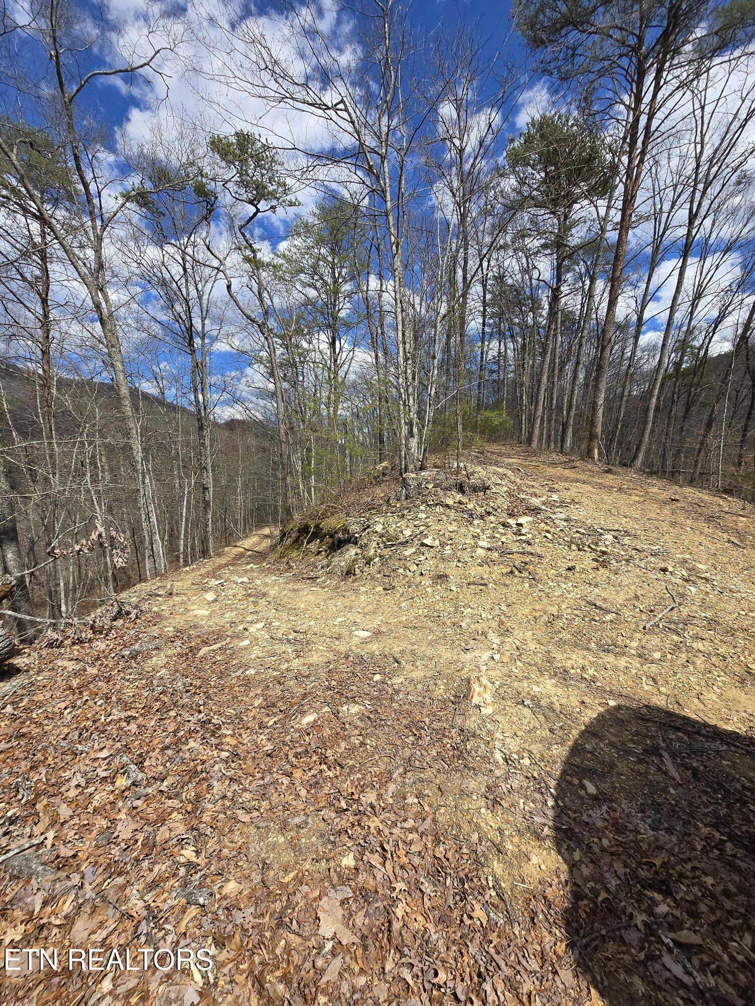 Bean Station, TN 37708,Steve Brown Rd