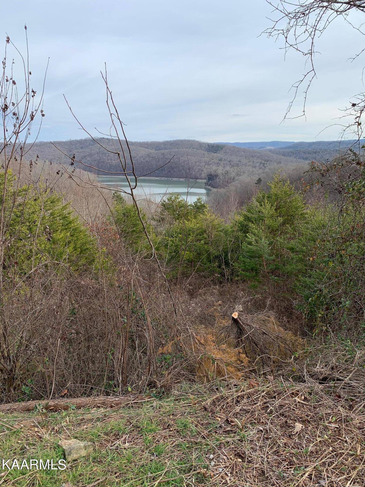 New Tazewell, TN 37825,lot 590 Whistle Valley Rd