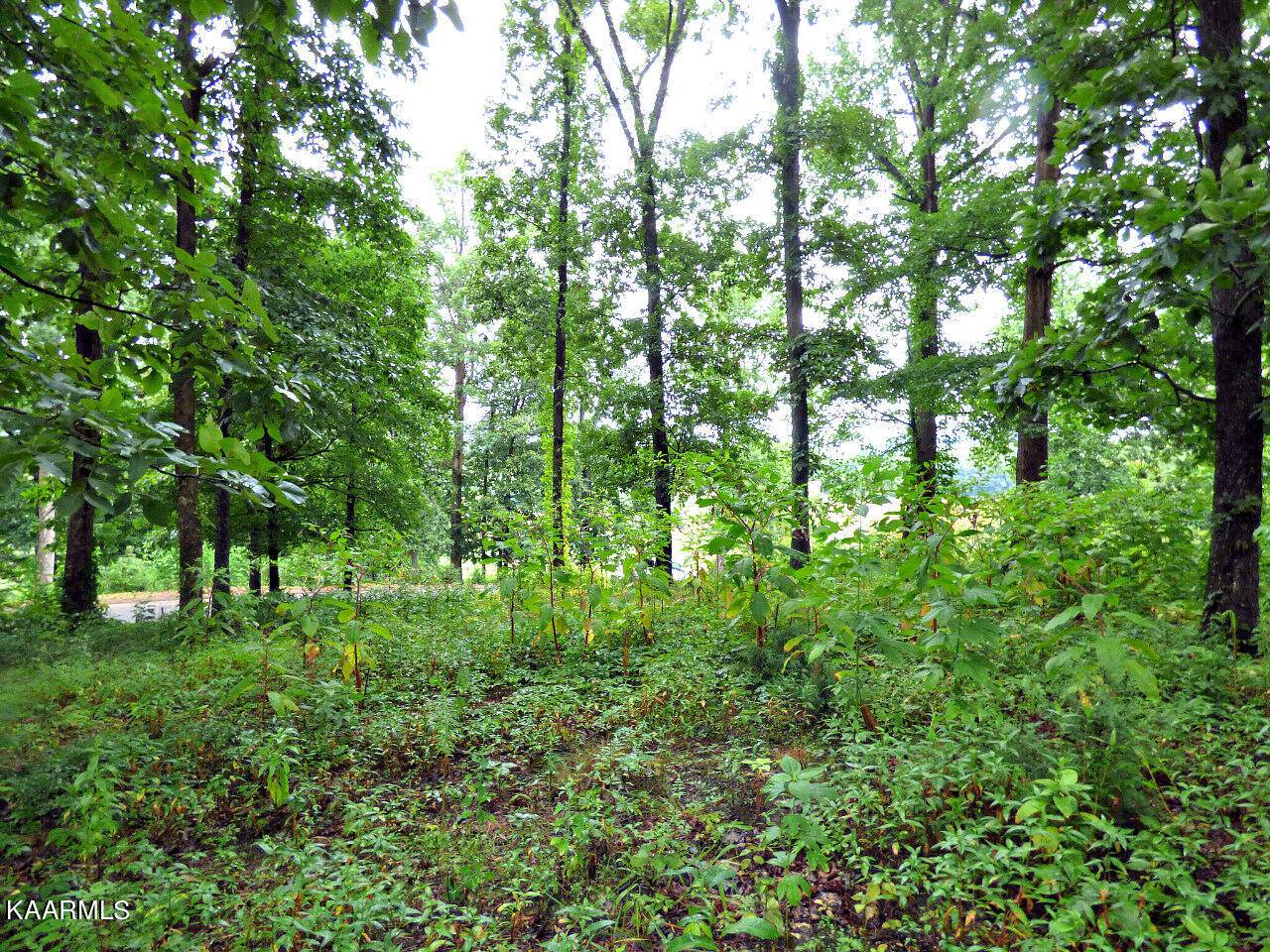 Dandridge, TN 37725,Lot 38R Stonehenge WAY