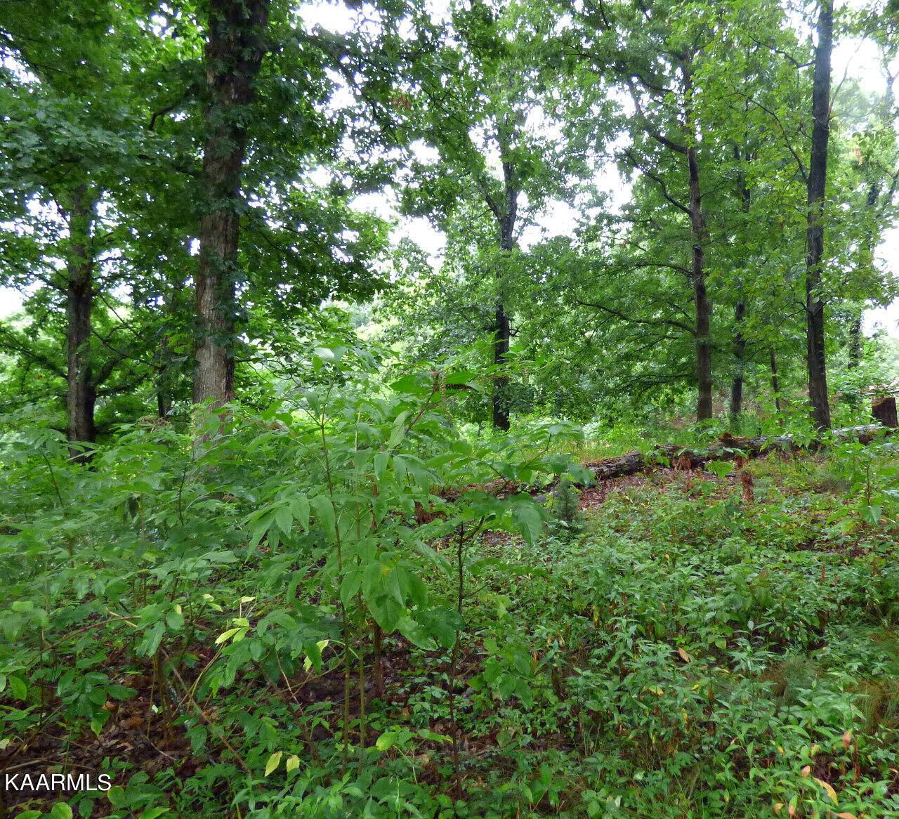 Dandridge, TN 37725,Lot 38R Stonehenge WAY