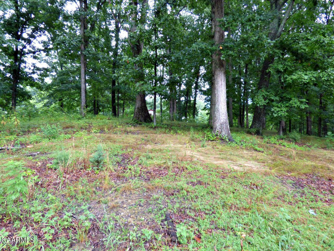 Dandridge, TN 37725,Lot 38R Stonehenge WAY