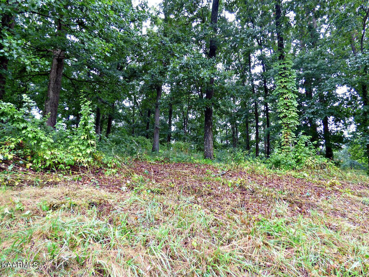 Dandridge, TN 37725,Lot 38R Stonehenge WAY