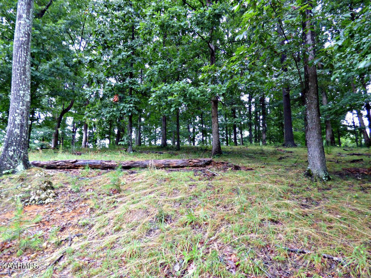 Dandridge, TN 37725,Lot 38R Stonehenge WAY