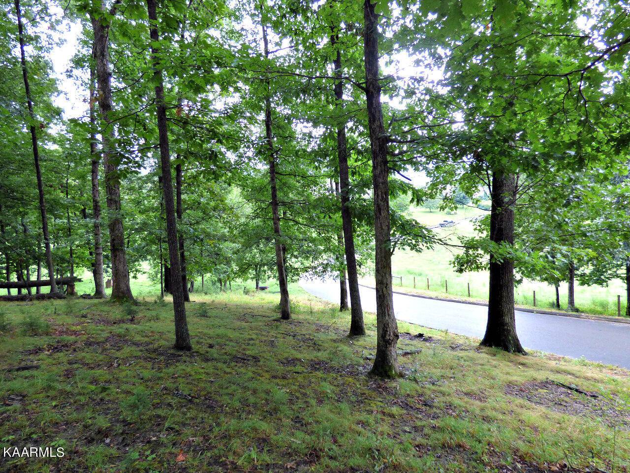 Dandridge, TN 37725,Lot 39 Stonehenge Way