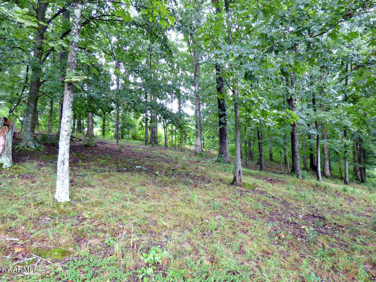 Dandridge, TN 37725,Lot 39 Stonehenge Way