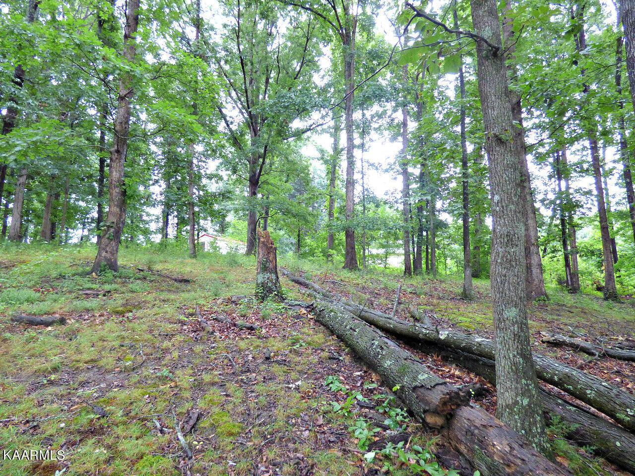 Dandridge, TN 37725,Lot 39 Stonehenge Way